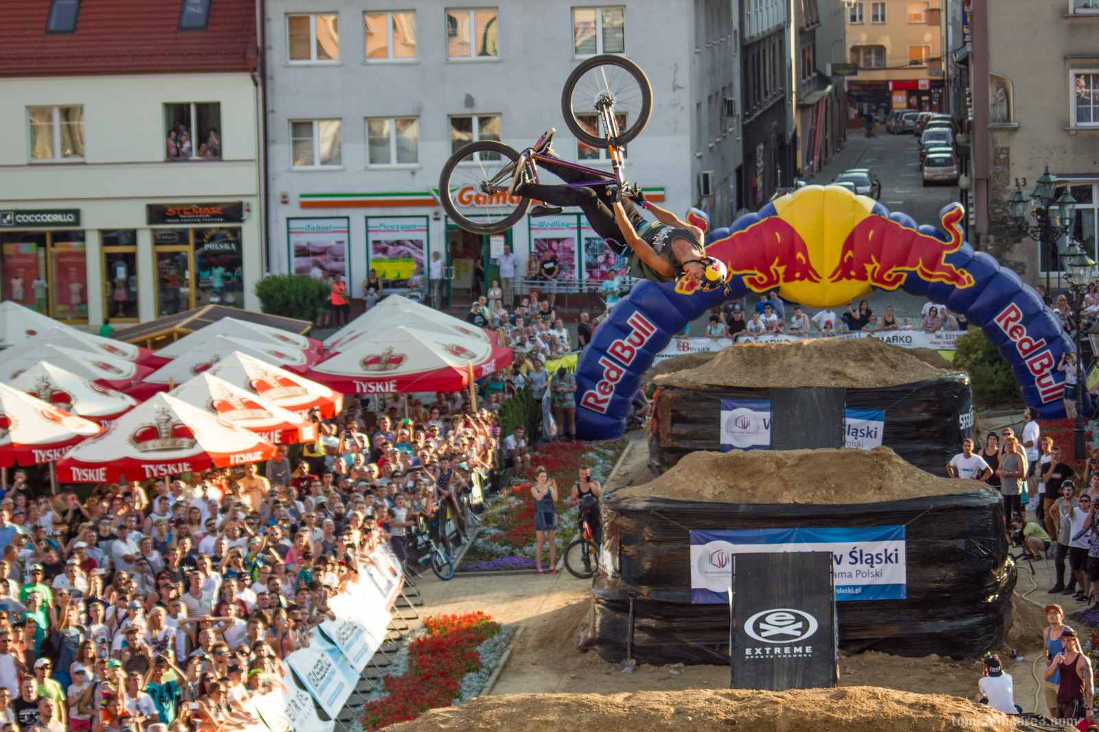 WOMBAT Dirt Jumping Cup